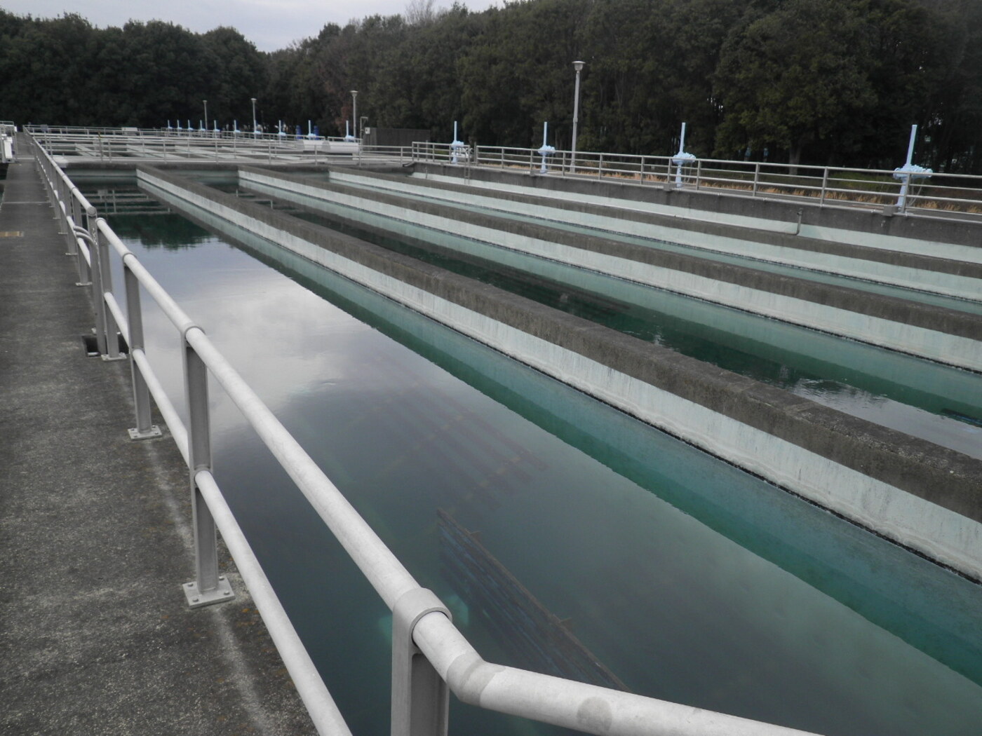 相模原浄水場沈でん池耐震補強工事（その4)